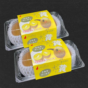 Ε Mtg 2025 쌧Y LEĈ܂ ʂS[h Y 0.6kg 2pbN4ʓ