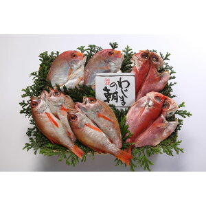 Ε Mtg 2025 킶܂̒(̂ǂ) 36 Ε ~Mtg YHi