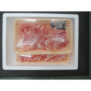 Ε Mtg 2025  ԂԃZbg 2lO Ε ~Mtg  ؓ