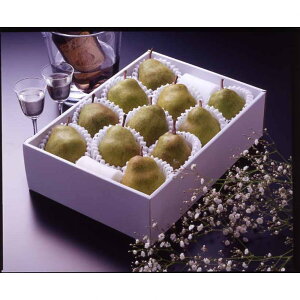 Ε Mtg 2025 R`YtX 11`12 3kg Ε ~Mtg t[cm