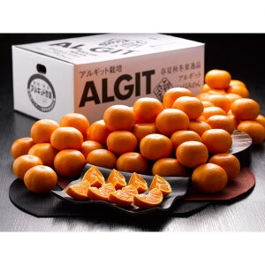 Ε Mtg 2025 ÉOYAMbg͔|݂ 4kg Ε ~Mtg t[c݂