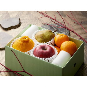 Ε Mtg 2025 ~ tXEьEfR|E݂ v7ʓ Ε ~Mtg t[c Zbg