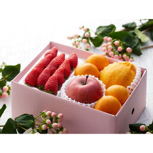 Ε Mtg 2025 ~ 䕁EfR|EьE݂ v7_ Ε ~Mtg t[c Zbg