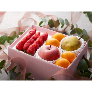 Ε Mtg 2025 ~ 䕁EtXEьE݂ v7_ Ε ~Mtg t[c m Zbg