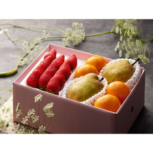 Ε Mtg 2025 ~ 䕁EtXE݂ v7_ Ε ~Mtg t[c m Zbg