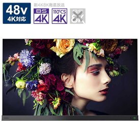 東芝 レグザ 有機EL テレビ 48V型 4K チューナー内蔵 東芝 TOSHIBA REGZA レグザ 有機ELテレビ 48V型 4Kチューナー内蔵 48X9400S