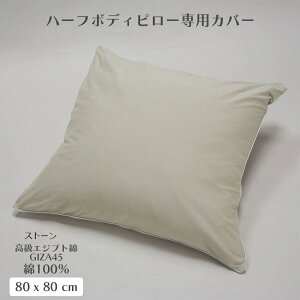 w n[t{fBs[pJo[ 100 GIZA45 PC-GZ8080 NbVJo[ Jo[ i  Ȃ  