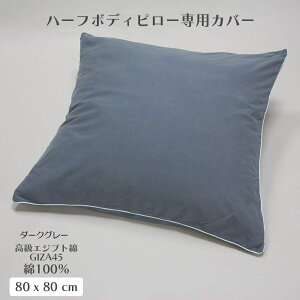 w n[t{fBs[pJo[ 100 GIZA45 PC-GZ8080 NbVJo[ Jo[ i  Ȃ  