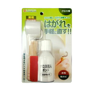 CǎǕCNXNXւDIYǎp̂ǎ̔yɒBLfBfUCNXEl͂CLbg