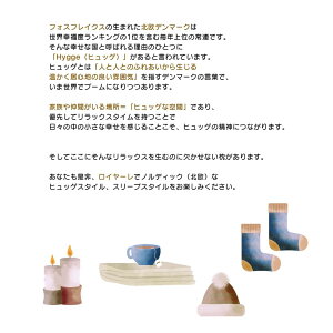 w fossflakes tHXtCNX [WTCYs[ C[ u[ 50×70cm FF-5070-RL f}[N lH 􂦂