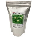 ホワイトクローバー シロツメクサ 福花園種苗 ホワイトクローバーお徳用種子 1L