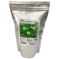 福花園種苗 ホワイトクローバーお徳用種子 1L | シロツメクサ 緑肥 土壌改良 雑草対策 牧草 庭 芝生代わ…