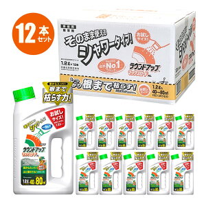 QP2{ EhAbv}bNX[hAL 1.2L 12{  ̂܂܎g ߂Ȃ ȒP ނ  ԏ