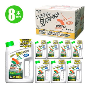 QP2{ EhAbv}bNX[hAL 2L 8{  ̂܂܎g ߂Ȃ ȒP ނ  ԏ