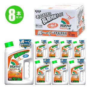 QP2{ EhAbv}bNX[hALIII 2L 8{  ̂܂܎g ߂Ȃ ȒP  ނ 