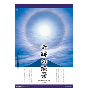 g[_ 2026N J_[ Ǌ| Ղ̐i`J^i` g[nEDX tC {iEό TD-504񂾁[ ߘa8N ߘaN 2 i 