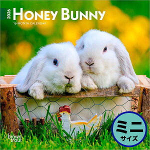 uEgEg 2026N  Ǌ|~jJ_[(Honey Bunny Calendar) ZB-03647J_[ 񂾁[ ߘa8N ߘaN Ǌ| ETM e