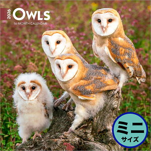uEgEg 2026N ӂ낤 Ǌ|~jJ_[(Owls Calendar) ZB-05047J_[ 񂾁[ ߘa8N ߘaN Ǌ| tNE 