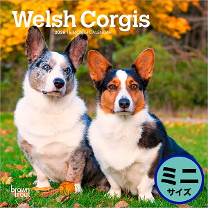 QP5{ uEgEg 2026N EFVER[M[ Ǌ|~jJ_[(Welsh Corgis Calendar) ZB-06228J_[ 񂾁[ ߘa8N ߘaN Ǌ| 