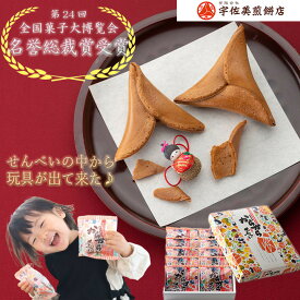 からからせんべい 10個 母の日 送料無料 和菓子 あす楽 贈答用 詰め合わせ お中元 お礼 せんべい ギフト 土産 銘菓 黒糖 お取り寄せグルメ 山形 グルメ 縁起物 お取り寄せ 乳製品不使用 子供会 無添加 ノベルティ 縁起物