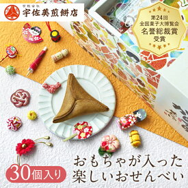 からからせんべい 30個 和菓子 あす楽 贈答用 詰め合わせ せんべい ギフト 和風 土産 銘菓 黒糖 お取り寄せグルメ 山形 ミニチュア グルメ 縁起物 お取り寄せスイーツ 乳製品不使用 子供会 無添加 ノベルティ