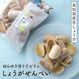 生姜せんべい ふるさと あす楽 田舎せんべい 生姜 ギフト ふるさと ギフト 菓子 和菓子 お茶菓子 お取り寄せ お取り寄せグルメ 生姜煎餅 田舎せんべい ふるさと 乳製品不使用 お試しグルメ