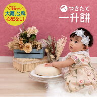 【送料無料】食紅4色付　一升餅 セット 冷凍配送なので事前準備可能 　自由にお絵描き　送料無料 ギフト…