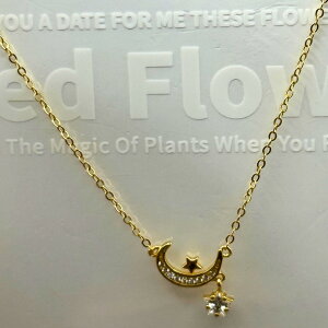 14KgfS[h lbNX fB[X ƌ`[t ؚ אg `F[ Vv d˕t l ɗD v[g ANZT[