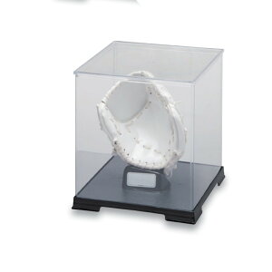 AObY q[[{bNXEW[c[ NOup BB77-37 싅 K  N AO[u AP[X UNIX jbNX SXD