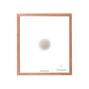 �F�� �z�F�� �o�X�P�b�g FD14-24 10���Z�b�g �^�� ���K ������ �X�|�[�c��ڕ� �T�C���F�� �z�Ԃ� UNIX ���j�b�N�X S�XD