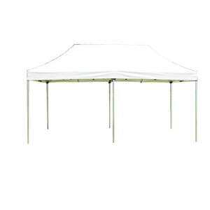 �󒍐��Y �����^�b�`�e���g2.4×2.4 EKA733 �J���[�I�� 240×240×299�`329cm �C�x���g �^���� �W��p�e���g �V�� �A���~ EVERNEW �G�o�j���[ S�X ����s��