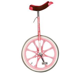 ֎ 20 GA^C EKD344 J[I 20C` 84-89cm ̂ ֎ X`[ |vs o[ EVERNEW Goj[ SX s