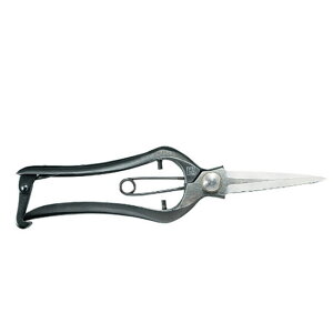 VmMt 195mm No.1142  ~ nT~ | A K[fjO  BONSAI OElZ { KIKUWA va H  [