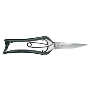 {EpАn 210mm 1153  ~ nT~ | A K[fjO  BONSAI OElZ { KIKUWA va H  [