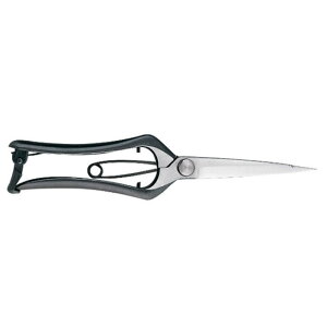 {Epn 230mm No.1155  ~ nT~ | A K[fjO  BONSAI OElZ { KIKUWA va H  [