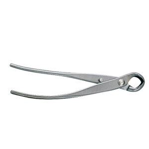 XeX ېnRu  No.3204 ~͎pi } | A K[fjO  BONSAI OElZ { KIKUWA va H  [