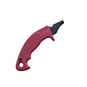 ̂ mRM pCv\[ԕ 08991 H ؍H ̂   [bg\[ cH OyD