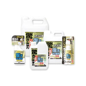 復活洗浄剤 ステンレス用 100ml クリーナー ステンレス サビ除去 掃除 清掃用品 344955 カンペハピオ 福KD