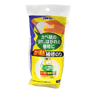 ̂ ׎p Ĉ 100g Jx C  DIY ATqy KD