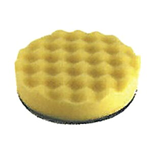 GAc[ EF[uX|W  3C` xN }WbN MSA-55232V RpNg RvbT[ [^[ Master }X^[ AB s