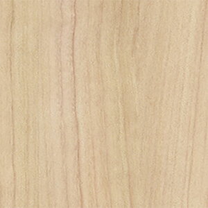 ǎ ؖ GN[`F[  WR-6110 XL[W[Zbg belbien xrA ^L}ebNX LN ꌧzs s