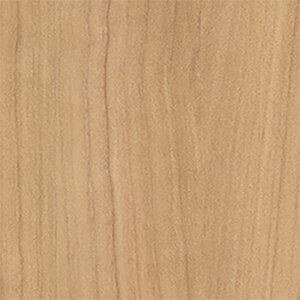 ǎ ؖ i``F[  WR-6120 XL[W[Zbg belbien xrA ^L}ebNX LN ꌧzs s