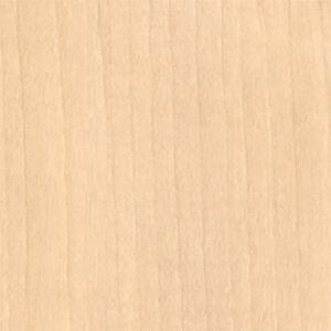 ǎ ؖ v[[v  W-638 XL[W[Zbg belbien xrA ^L}ebNX LN ꌧzs s