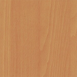 ǎ ؖ JmXr[`  W-203 XL[W[Zbg belbien xrA ^L}ebNX LN ꌧzs s