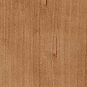 ǎ ؖ C{X`F[  W-667 XL[W[Zbg belbien xrA ^L}ebNX LN ꌧzs s