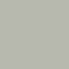 壁紙 単色 シルバーグレイ NC-053 スキージーセット belbien ベルビアン タキロンシーアイ Lク 沖縄県配送不可 代引不可