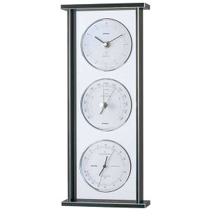 Cیv X[p[EXM[CیvEv EX-793 xv xv Cv v GybNXCیv KD