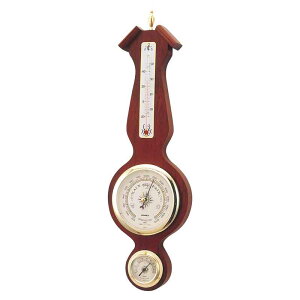 2{ Cیv AJ[iCیv BM-717 xv xv Cv CeA GybNXCیv KD