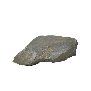 lH ZsA I 肮肢 IΐF61 A60CZN61W GNXeA tFCNXg[ O[x LN kCzs s