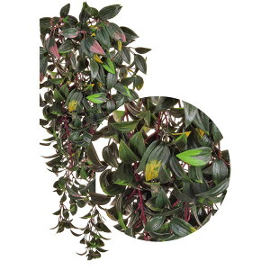 lHA Op K[h K[h FUV A70TR752 GNXeA tFCNO[ O[x LN kCzs s